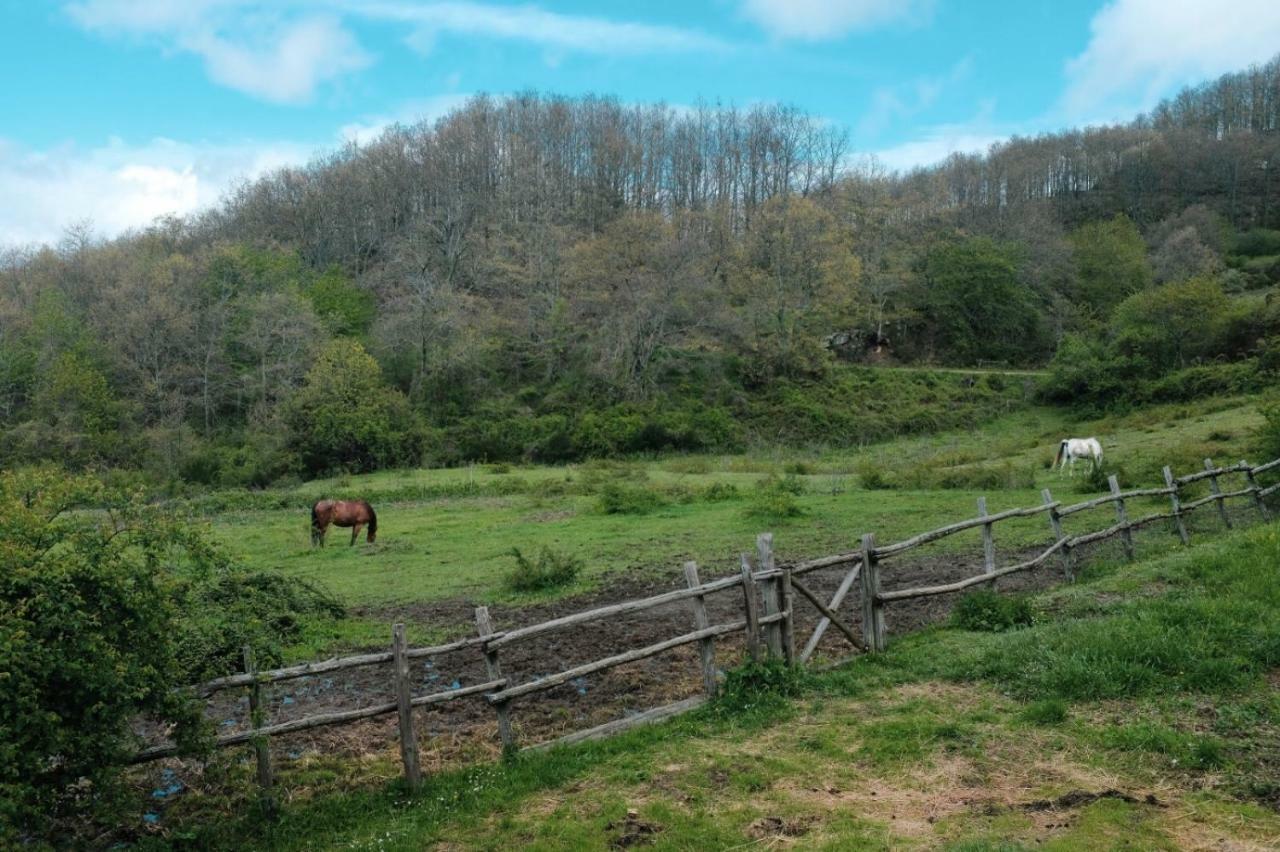 Casina Della Burraia Villa Subbiano Bagian luar foto
