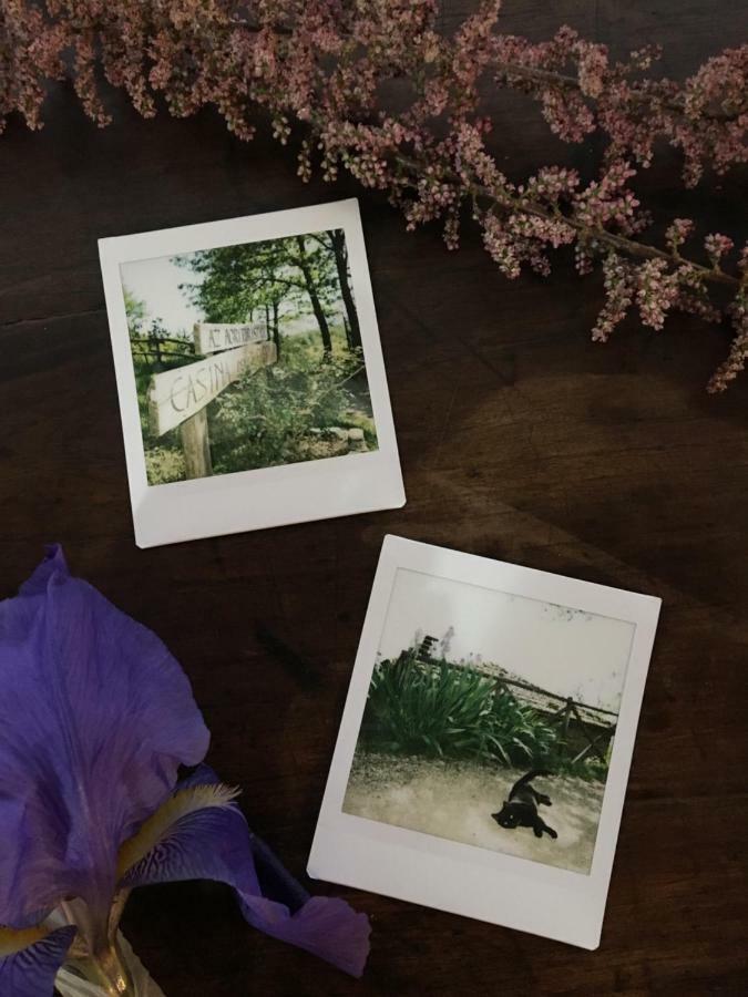 Casina Della Burraia Villa Subbiano Bagian luar foto