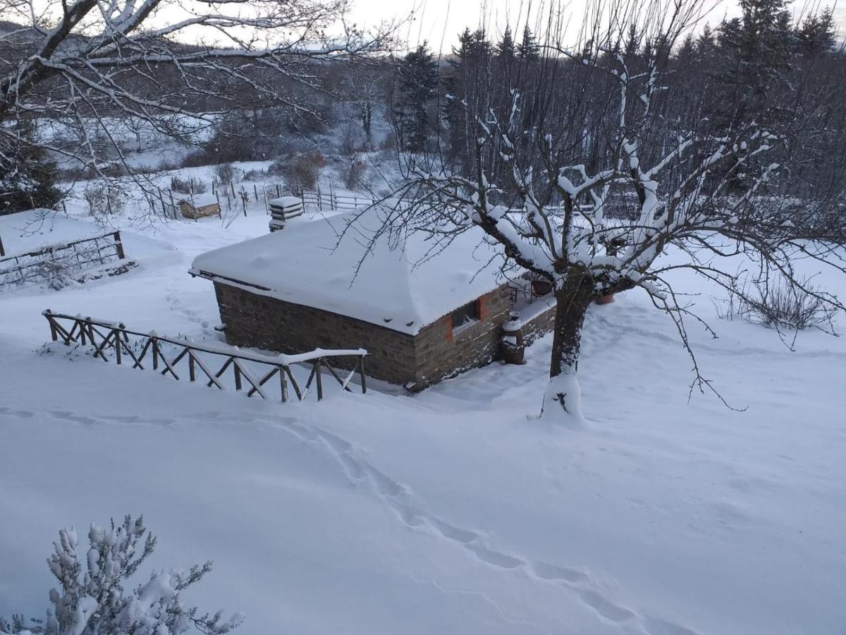 Casina Della Burraia Villa Subbiano Bagian luar foto